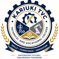 kariuki TVC